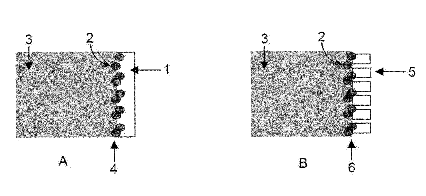 Biological decontamination gel and method for decontaminating surfaces by using this gel