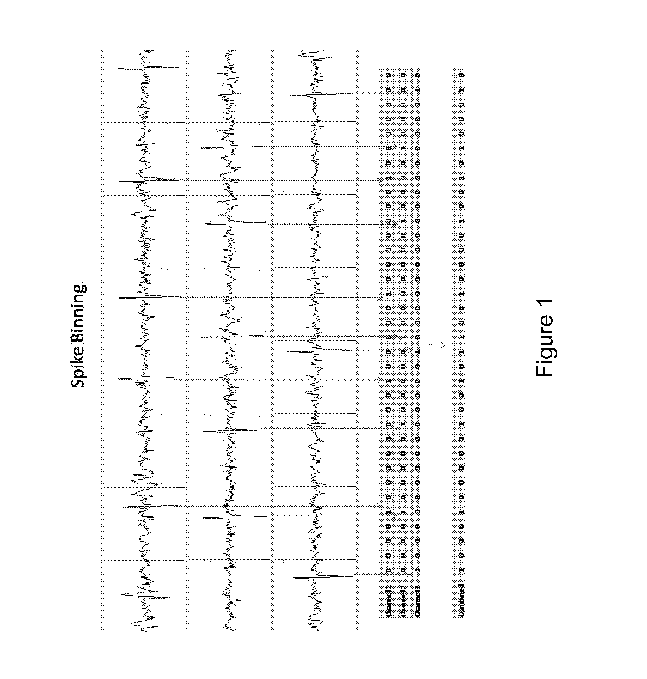 System and method of detecting and predicting seizures