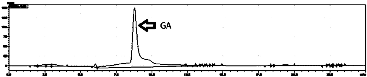 Method for co-production of 5-keto-D-gluconic acid and ethyl (S)-4-chloro-3-hydroxybutyrate