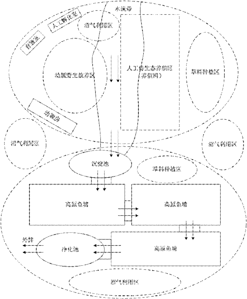 Method for hatching and breeding anser indicus