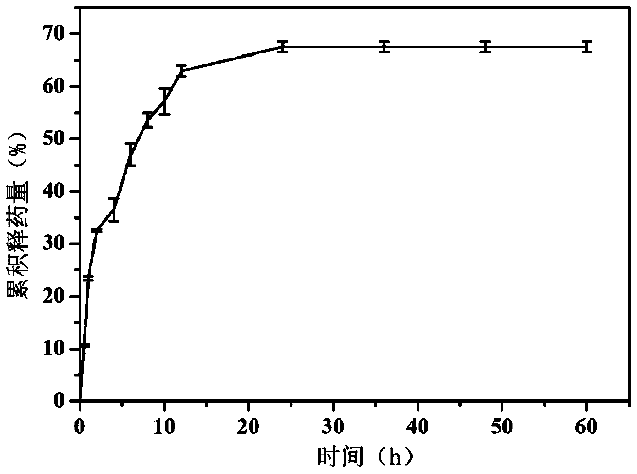 Biphasic transdermal drug delivery system and preparation method thereof