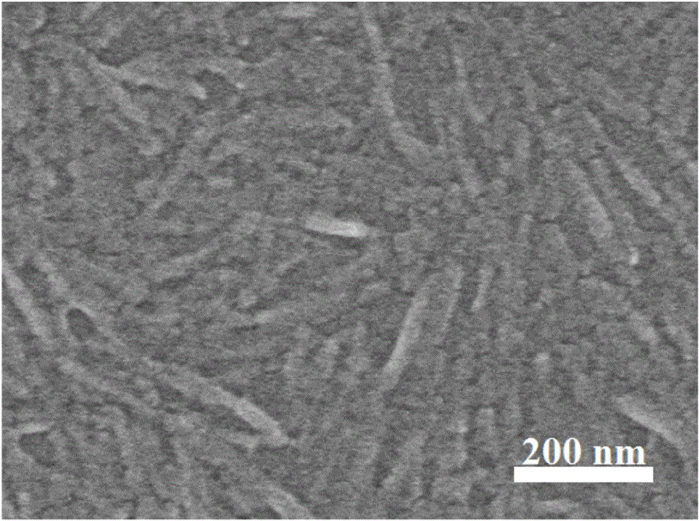 Preparation method of carboxylated cellulose nanoparticles