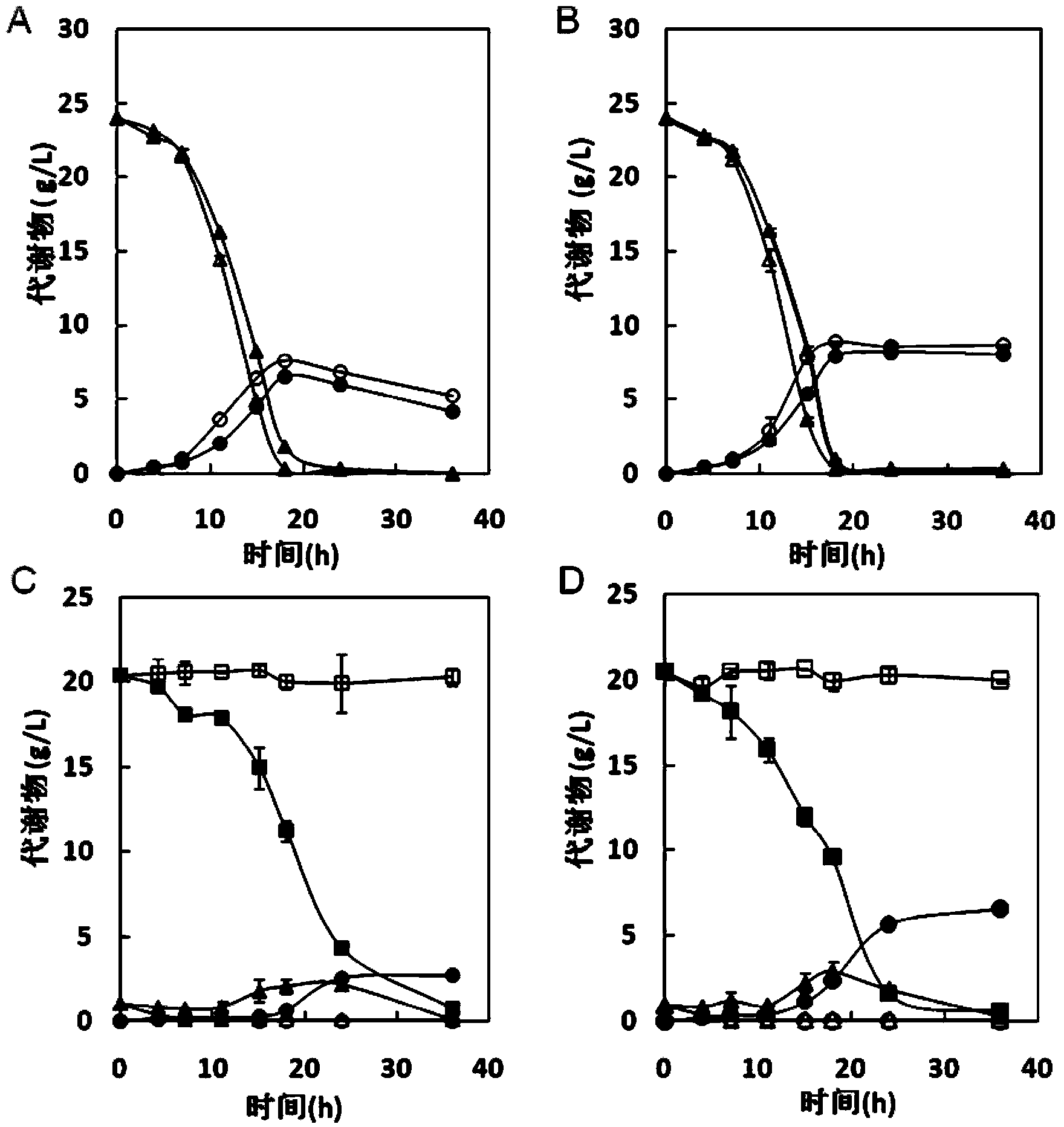 Recombinant saccharomyces cerevisiae strain for continuously and efficiently secreting beta-glucosidase and applications thereof