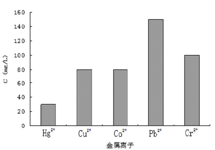 Deinococcus wushiensis and application thereof in cobalt ion biological adsorption treatment