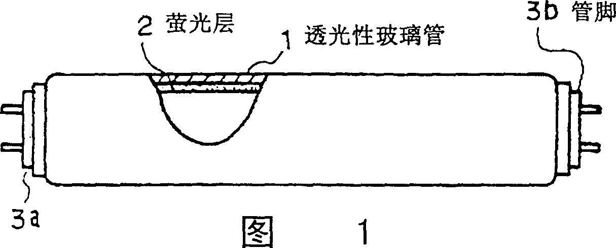 Fluorescent lamp and bulb-shape fluorescent lamp