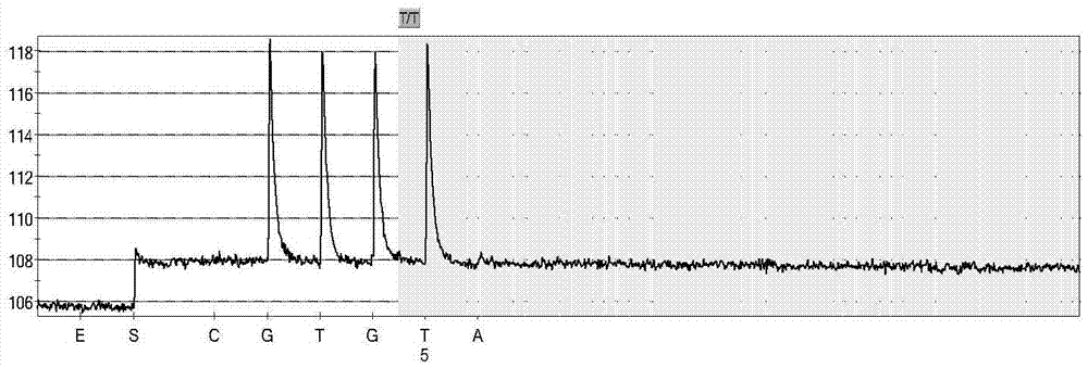Non-syndromic deafness gene polymorphism detecting kit and application thereof