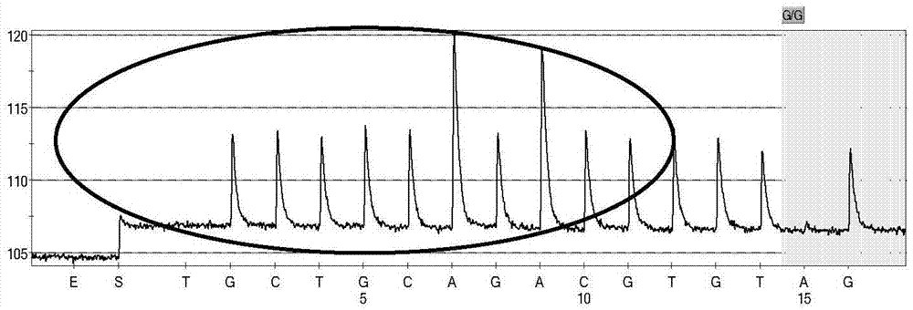 Non-syndromic deafness gene polymorphism detecting kit and application thereof