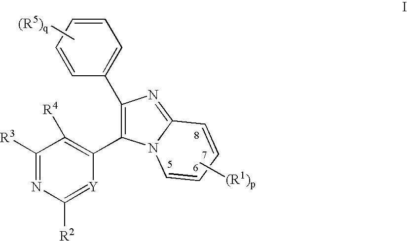 Imidazopyridine Kinase Inhibitors