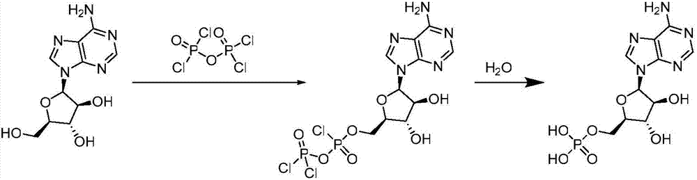 Synthesis technology of vidarabine monophosphate