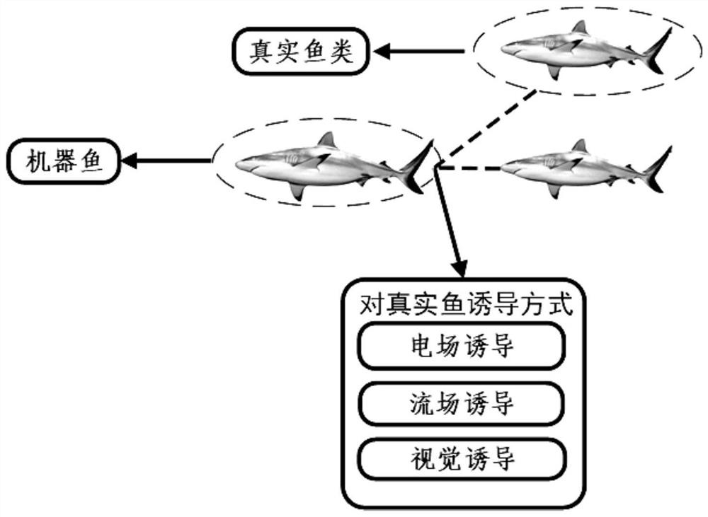 A kind of underwater bionic guiding robot fish and guiding fish movement method