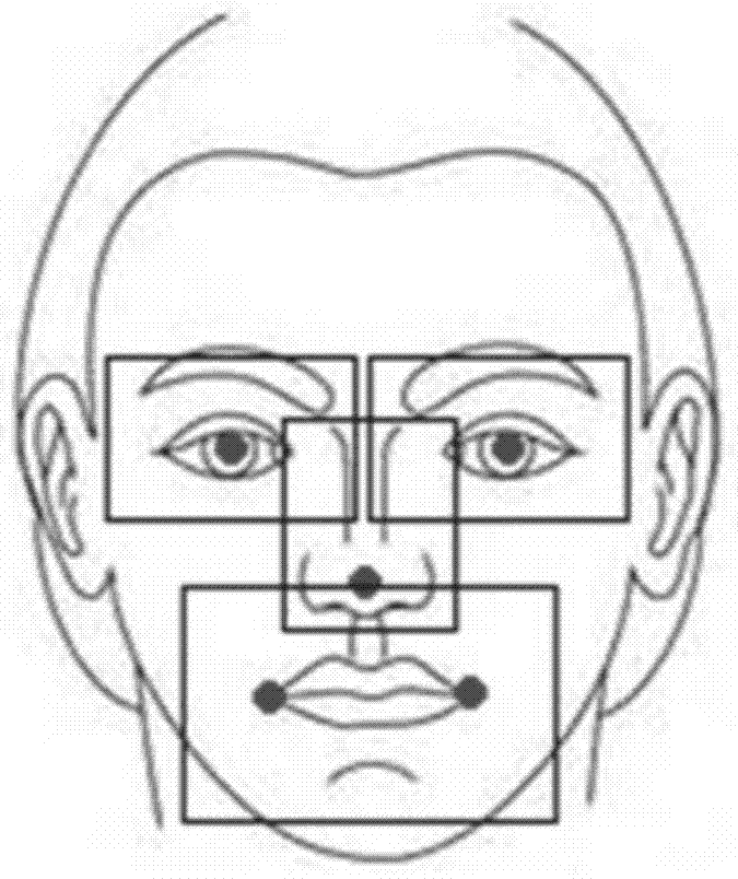 Face key point detecting method and device