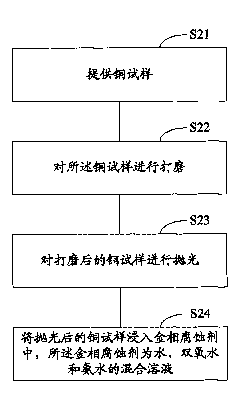 Metallographical corrosive, method for eroding copper and method for displaying metallographical organization of copper