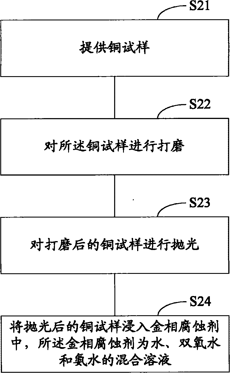 Metallographical corrosive, method for eroding copper and method for displaying metallographical organization of copper