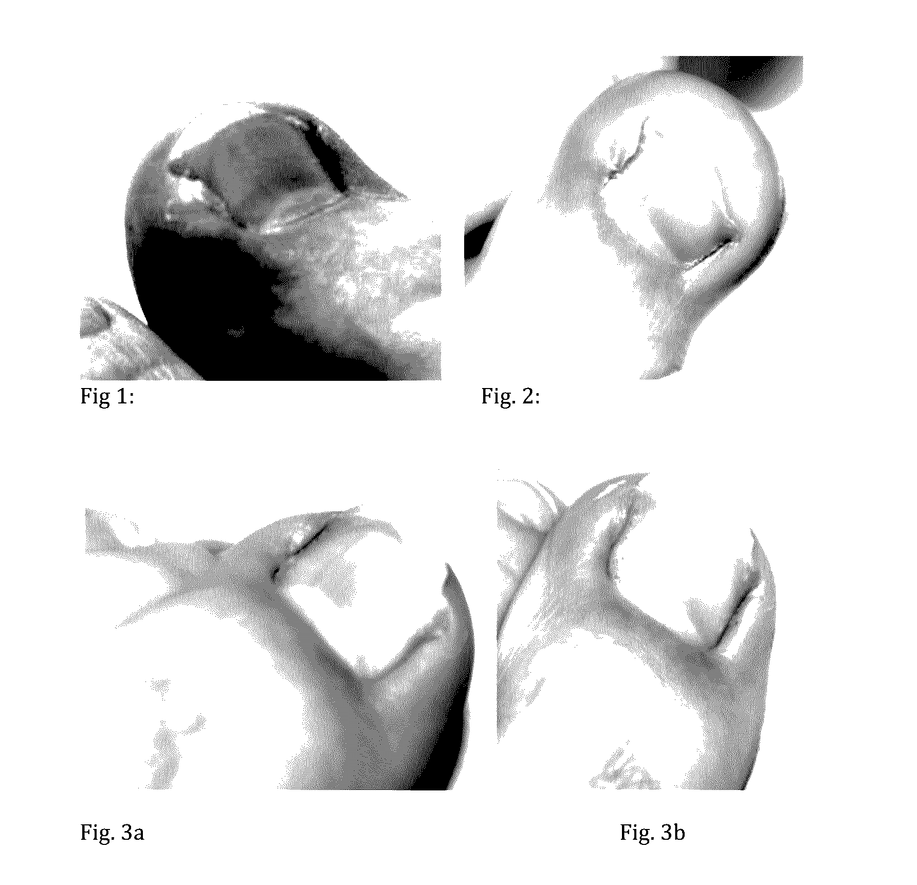 Chlorite-Containing Compositions