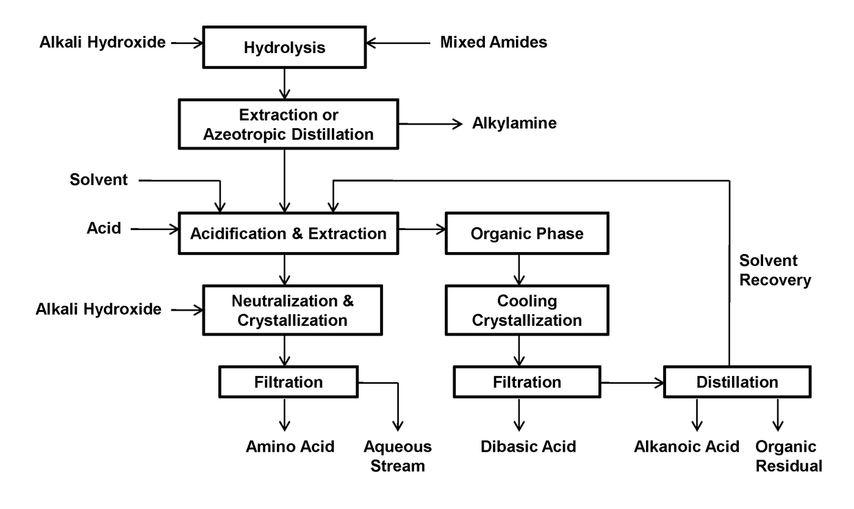 Process for the separation of long chain amino acids and dibasic acids