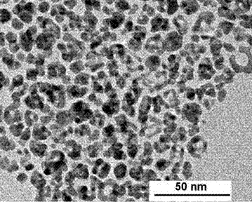 Hollow bimetal nanoparticle/titanium dioxide core-shell structure, and preparation method and application thereof