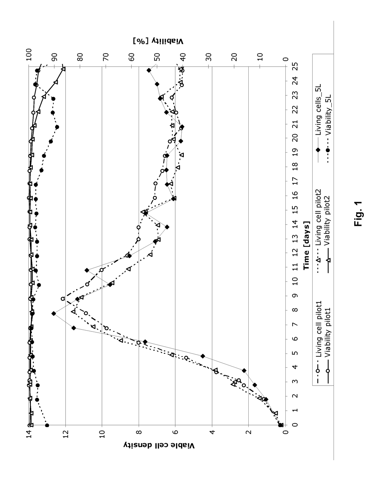 Process for protein production