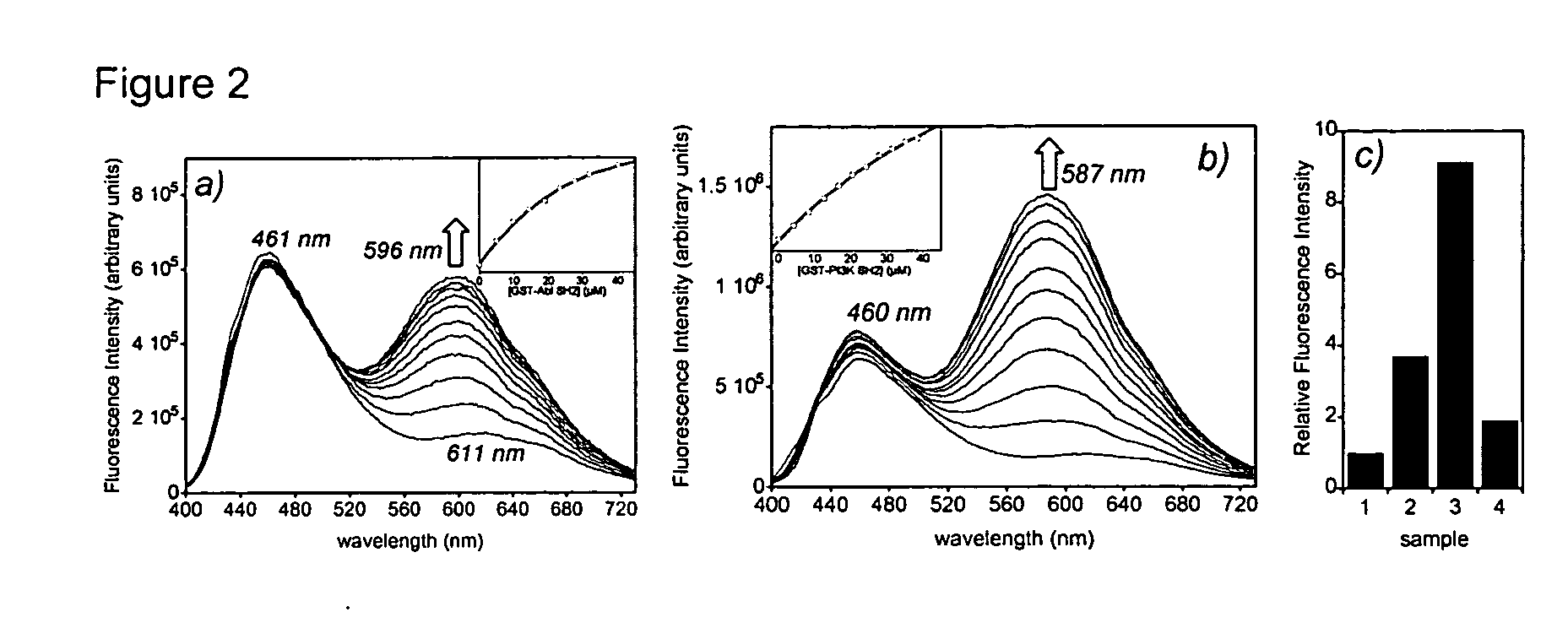 Fluorescent probes for biological studies