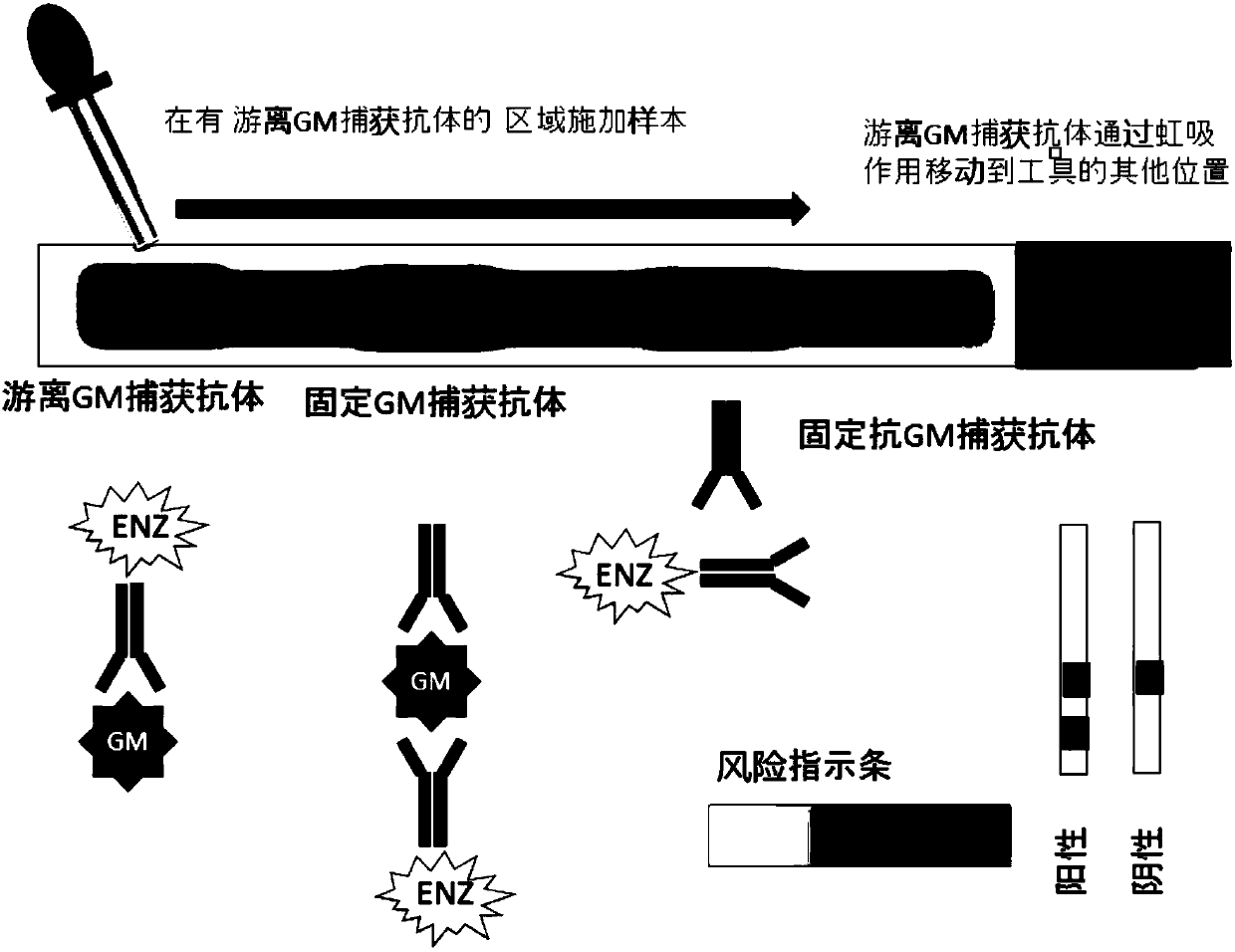 Lung cancer detection test strip, kit and using method of lung cancer detection test strip or kit