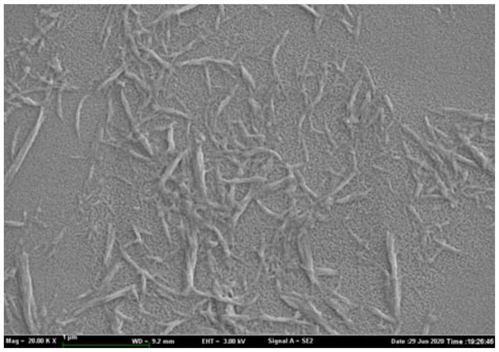 Preparation method of silk fibroin nanofiber whiskers