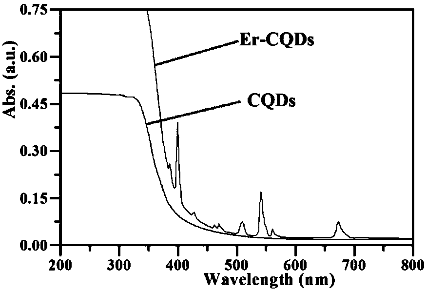 Novel photoanode assisted by Er-doped carbon quantum dots, a preparation method thereof and application thereof