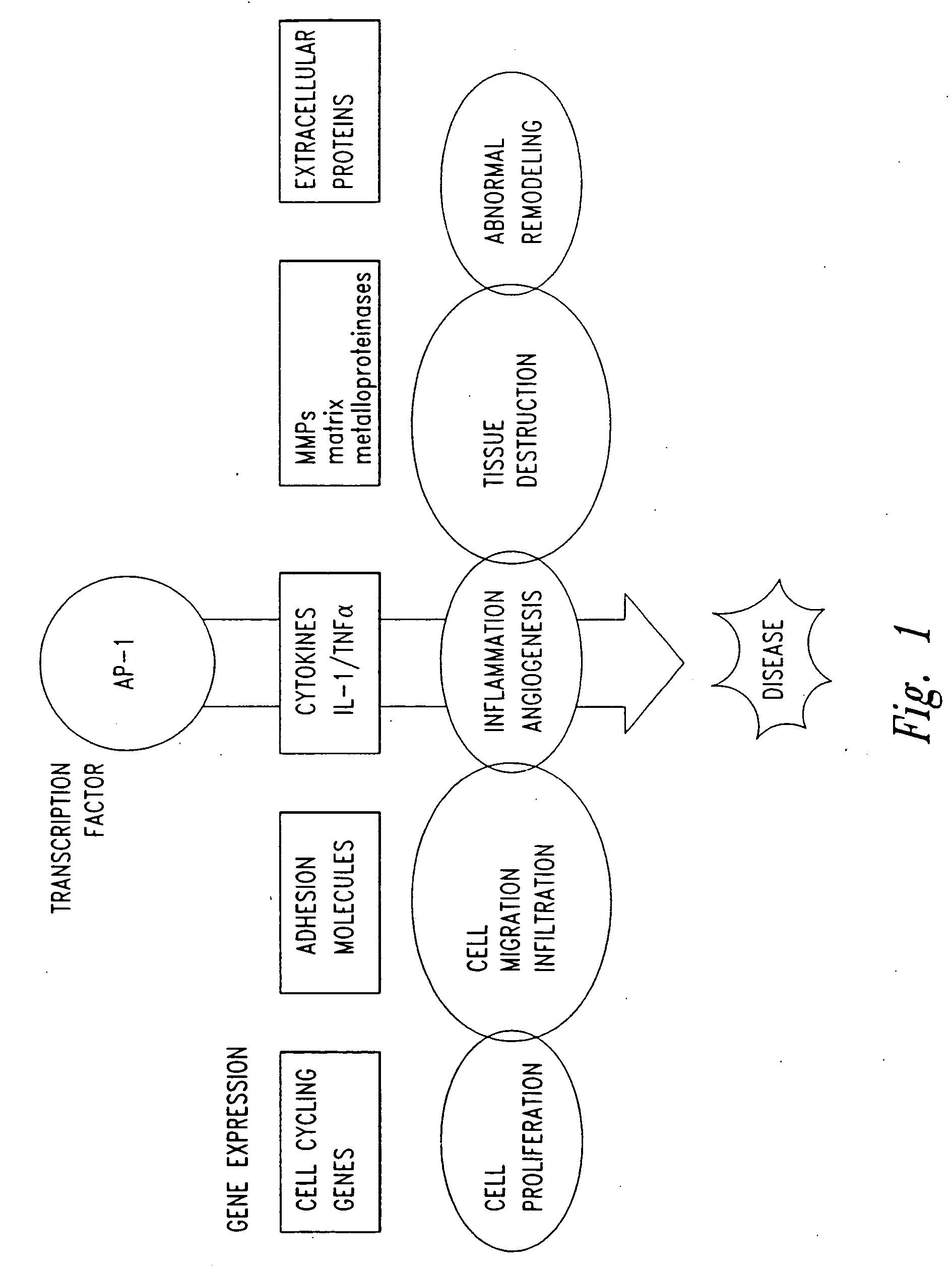 Compositions and methods for treating cellular response to injury and other proliferating cell disorders regulated by hyaladherin and hyalurons
