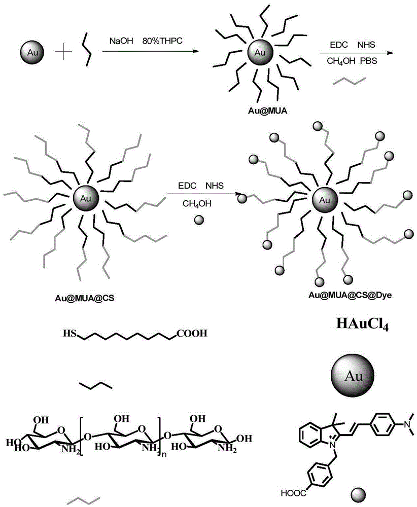 Sulfhydryl group ion nanometer probe material as well as preparation method and application thereof