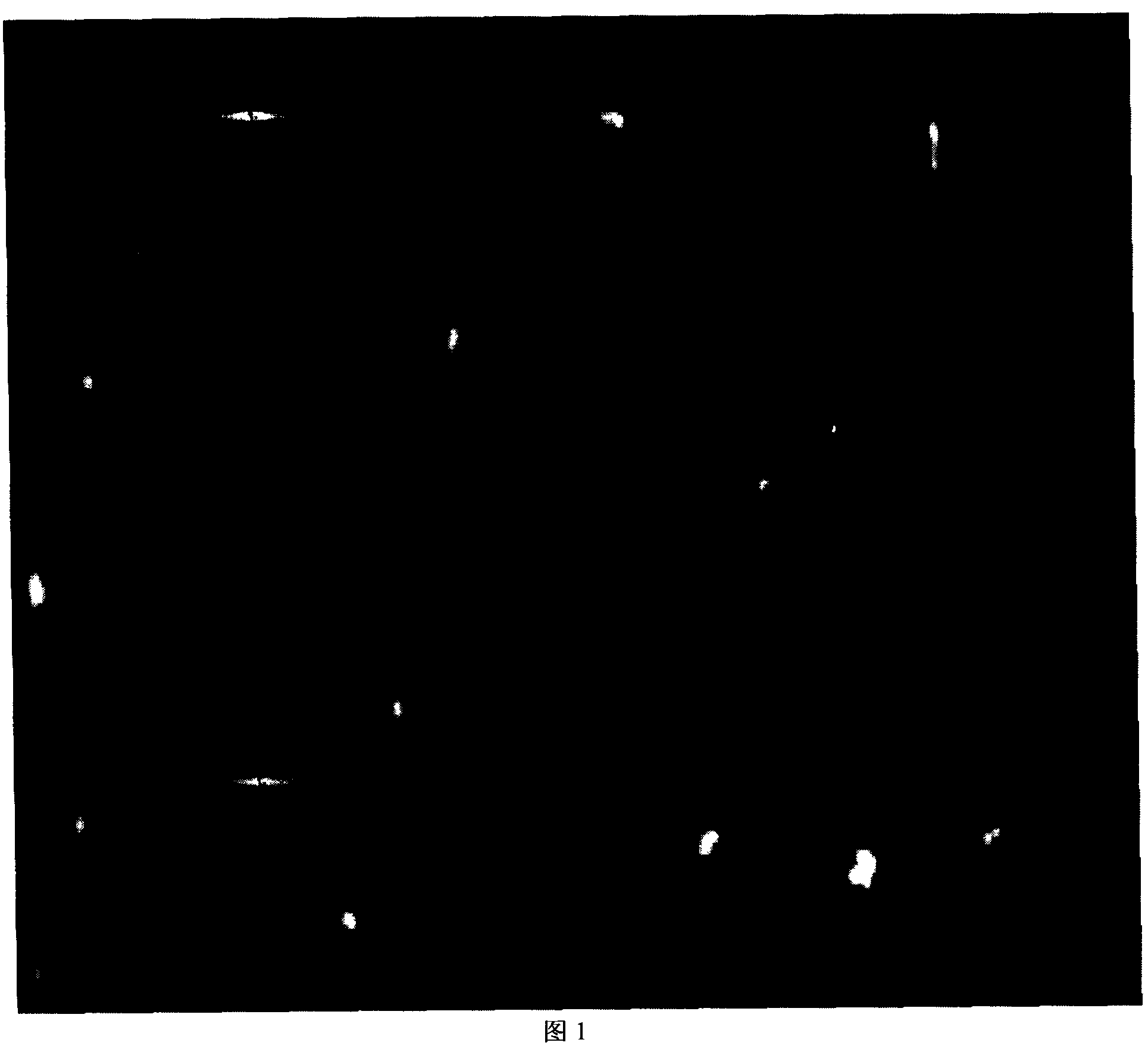 Fluorescent carbon nanometer tube and its preparation method and application