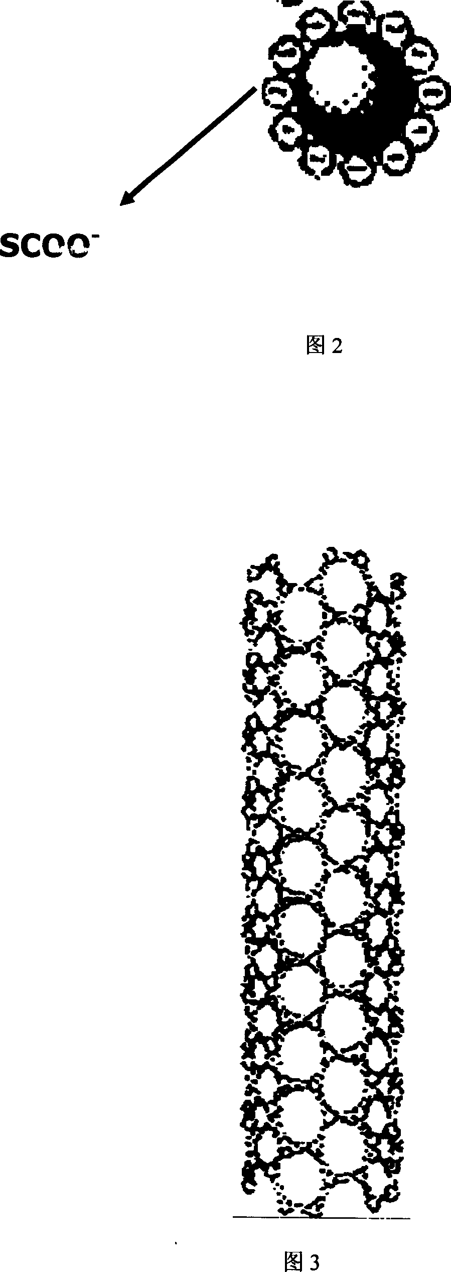 Fluorescent carbon nanometer tube and its preparation method and application