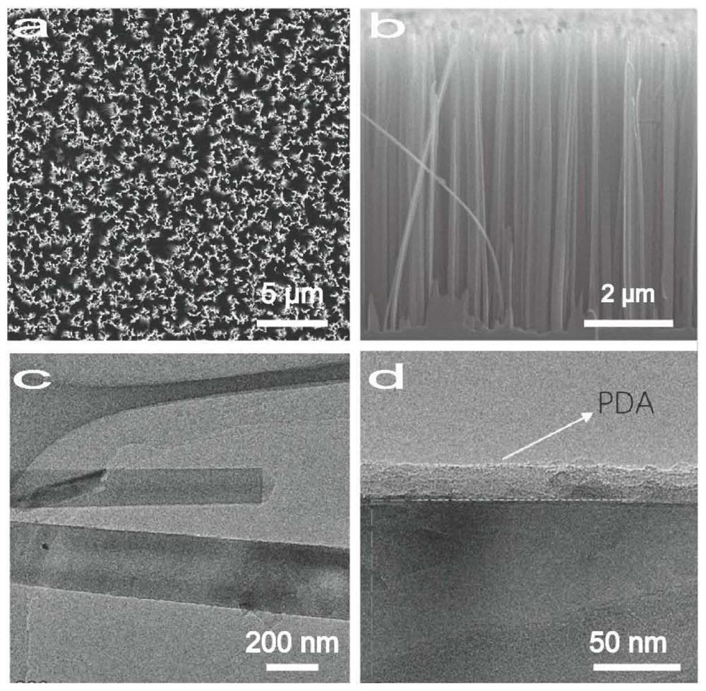 Photoelectric immunosensor based on silicon nanowire array@polydopamine composite structure and preparation method