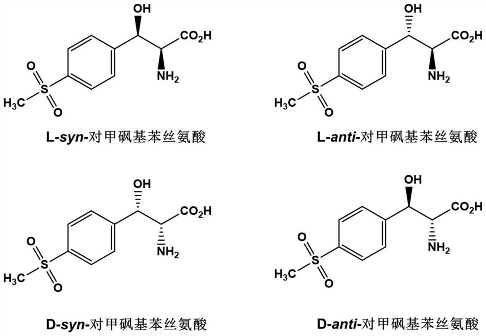 L-threonine aldolase mutant and method for preparing L-syn-p-methylsulfonyl phenyl serine