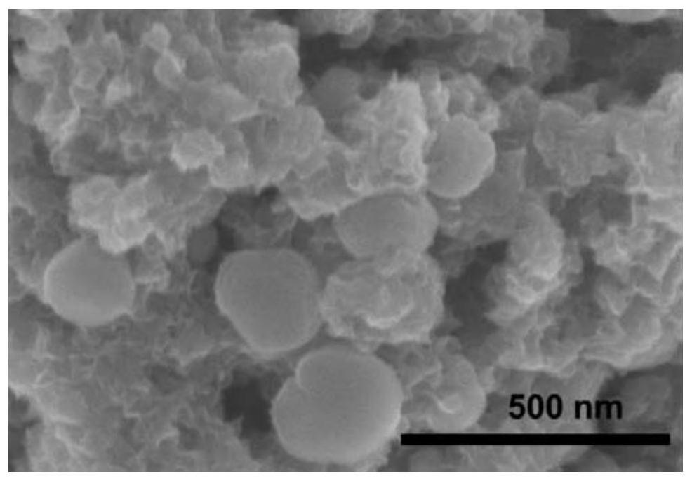 A preparation method of molybdenum disulfide/silver nano-immune substrate material and its reproducible immunoassay application
