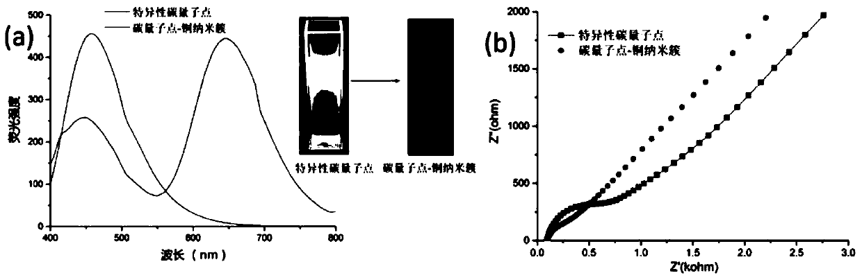 Preparation method and application of mercury ion fluorescence/electrochemical sensor