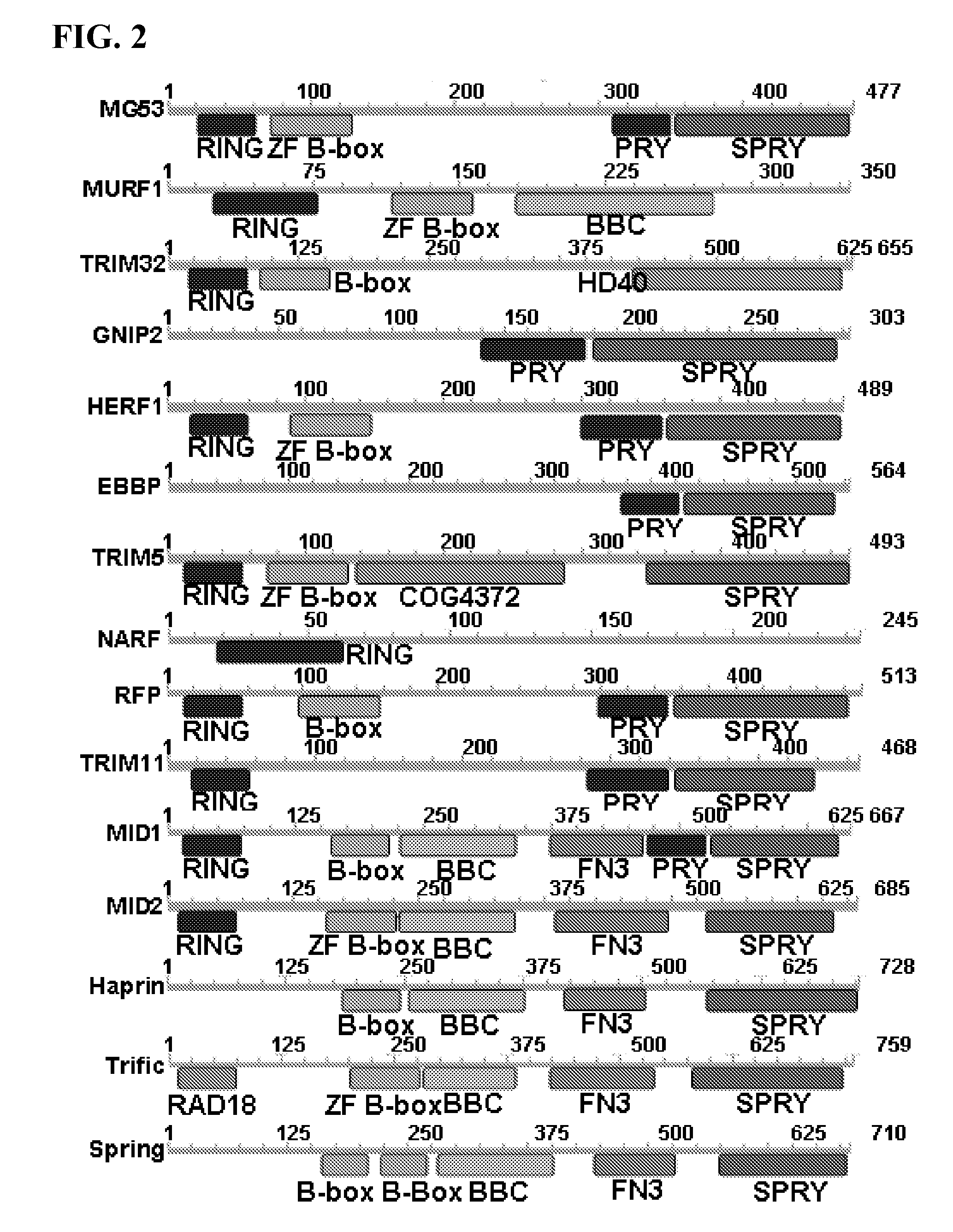 Compositions and methods to modulate cell membrane resealing