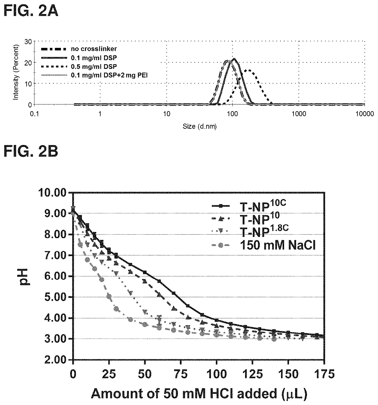 Cross-linked polymer modified nanoparticles