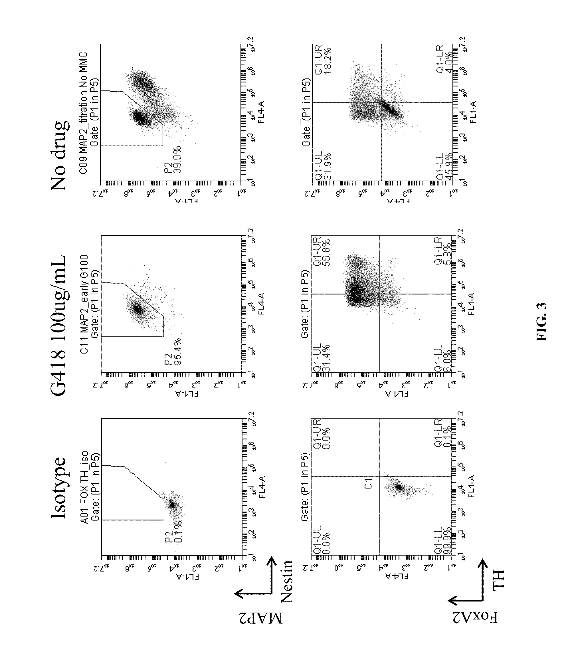 Production of midbrain dopaminergic neurons and methods for the use thereof