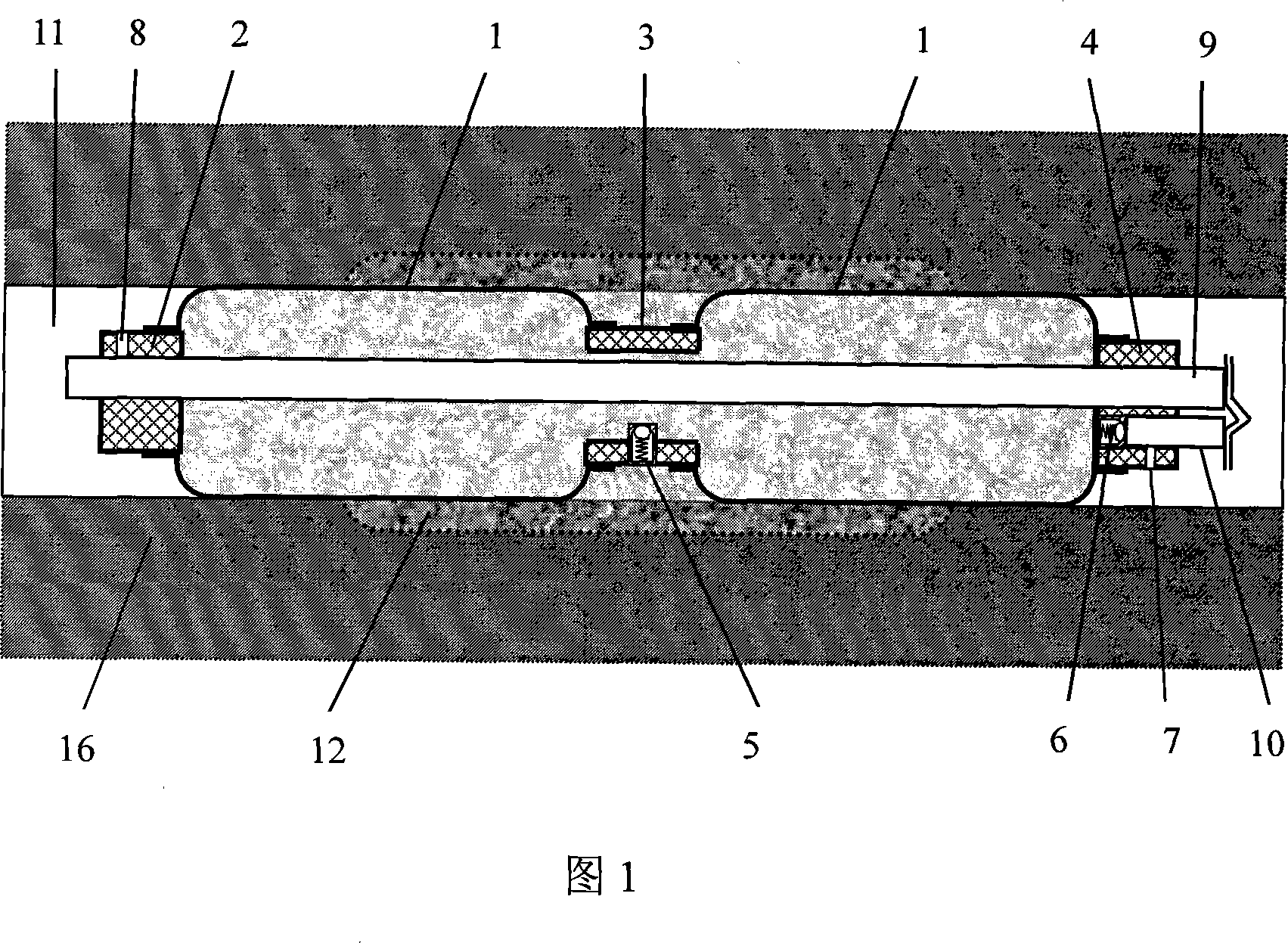 Bag type paste injection hole sealing device and its hole sealing method