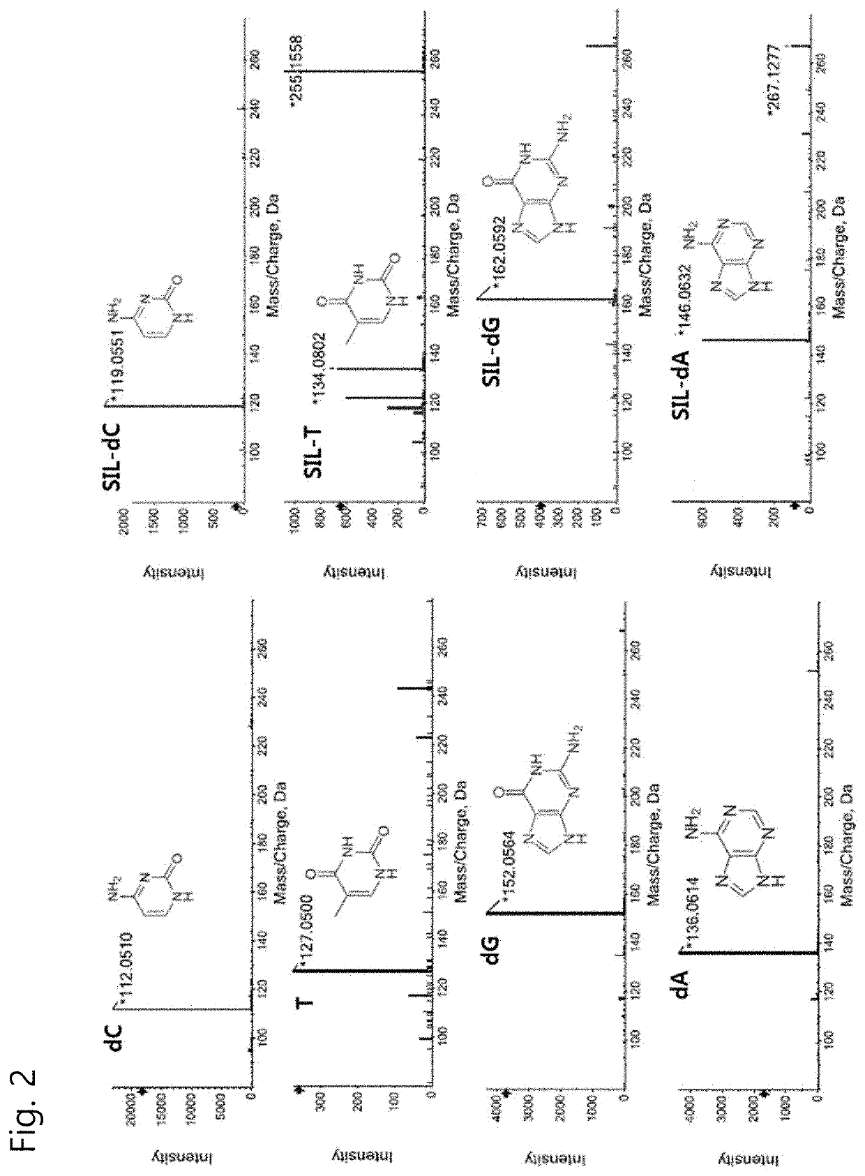 Nucleic acid quantification method using stable isotope-labelled nucleic acid as internal standard and use of the same