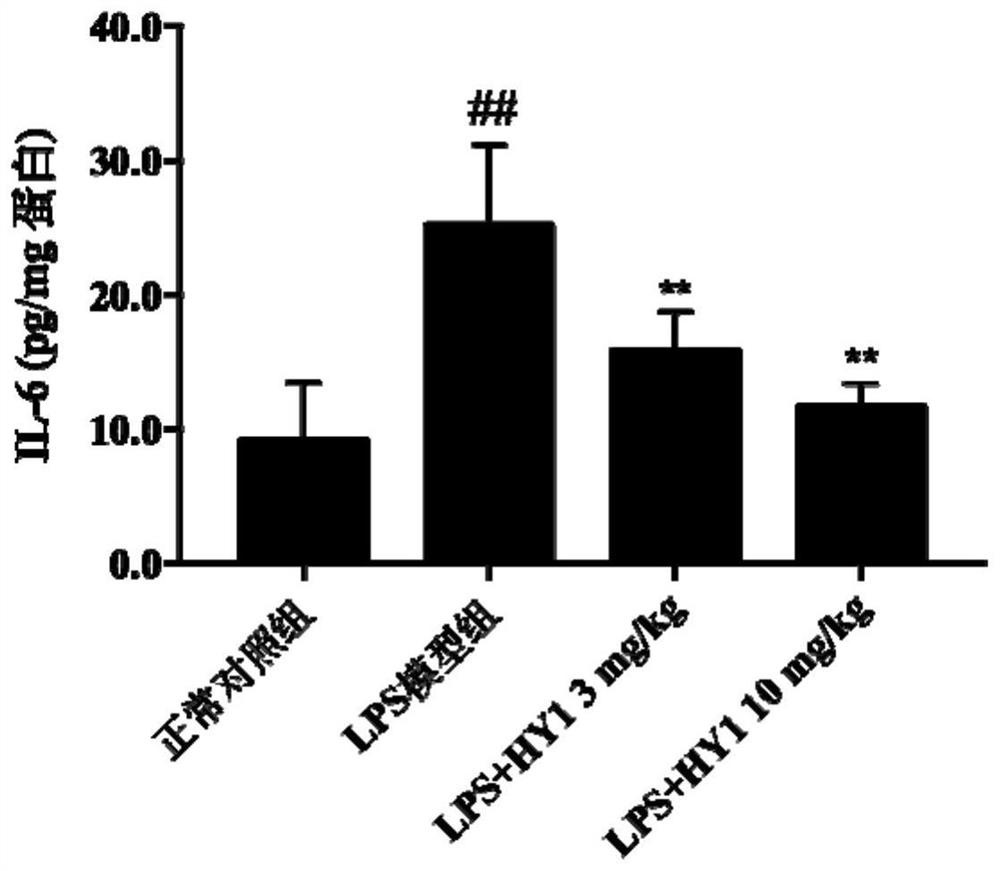 Application of elaifolin compound in preparation of neuroinflammation inhibition medicine