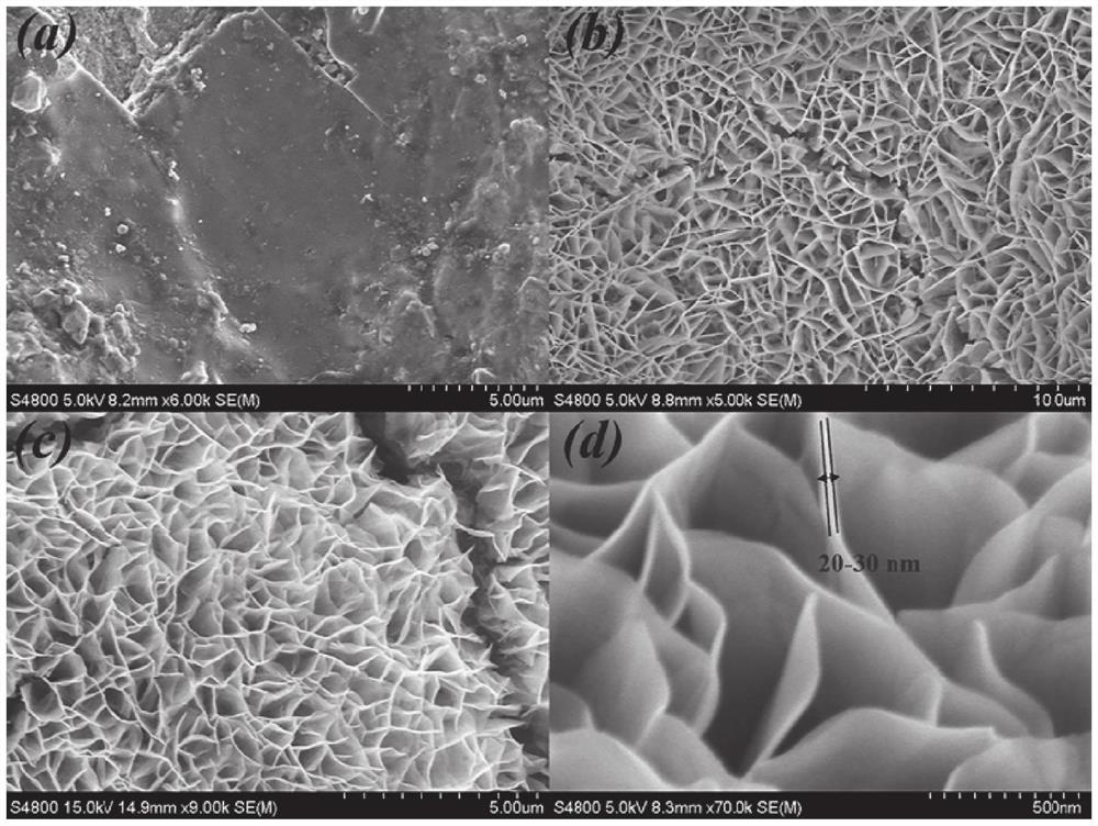 Cobalt oxide nanosheet chlorine evolution electrode, preparation method and application thereof