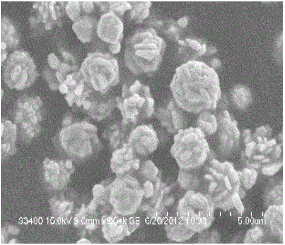 Synthetic method for flower type silver micron particles