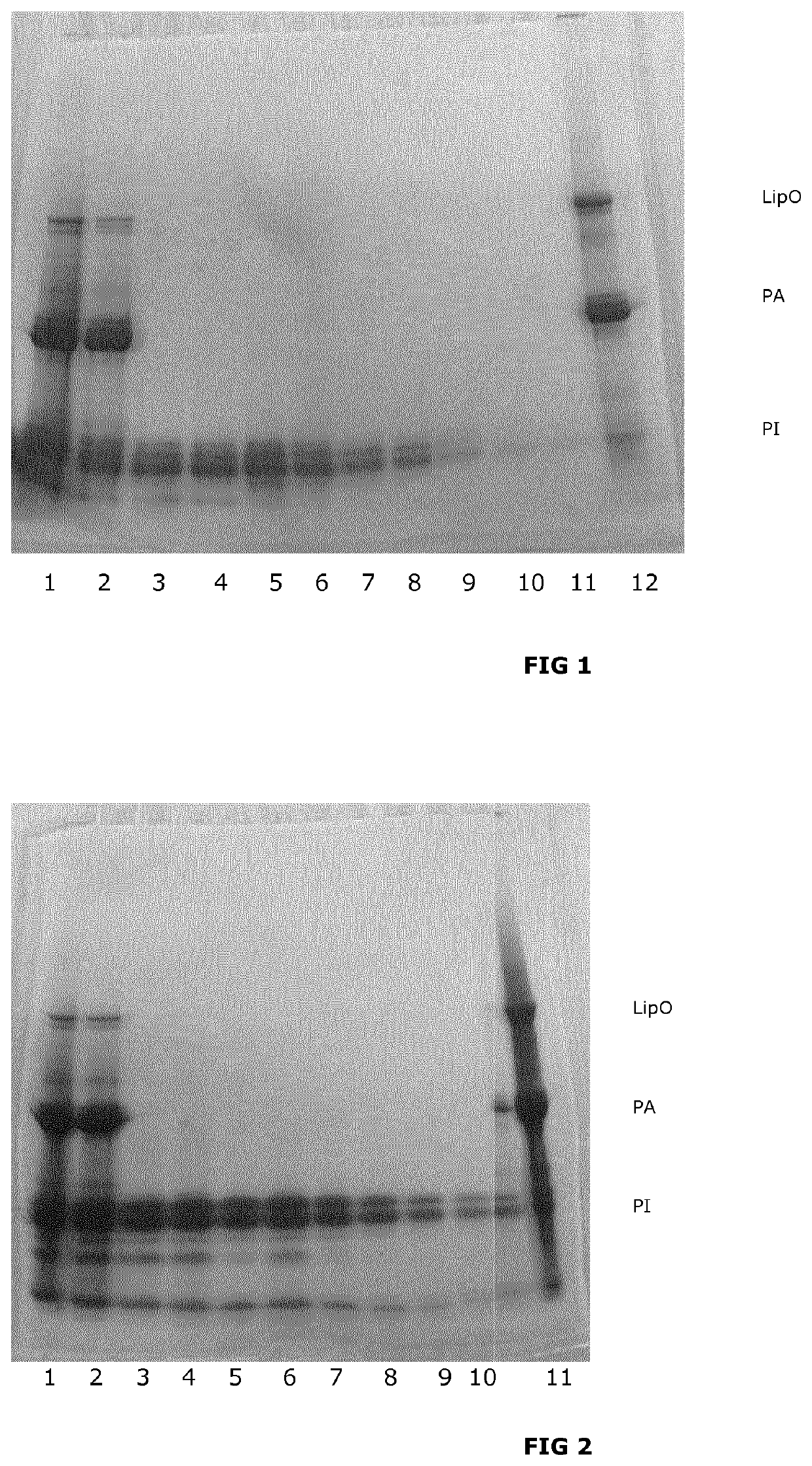 Integrated precipitation and membrane filtration processes for isolation of potato proteins