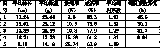 Compound immunity enhancing agent for trachidermus fasciatus heckel and preparation method of compound immunity enhancing agent