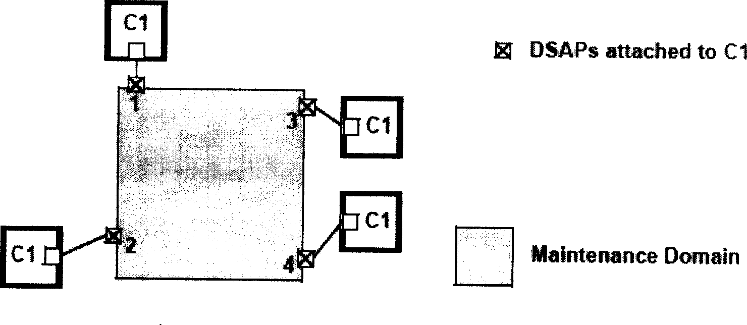 Mac Ping initiation method and system