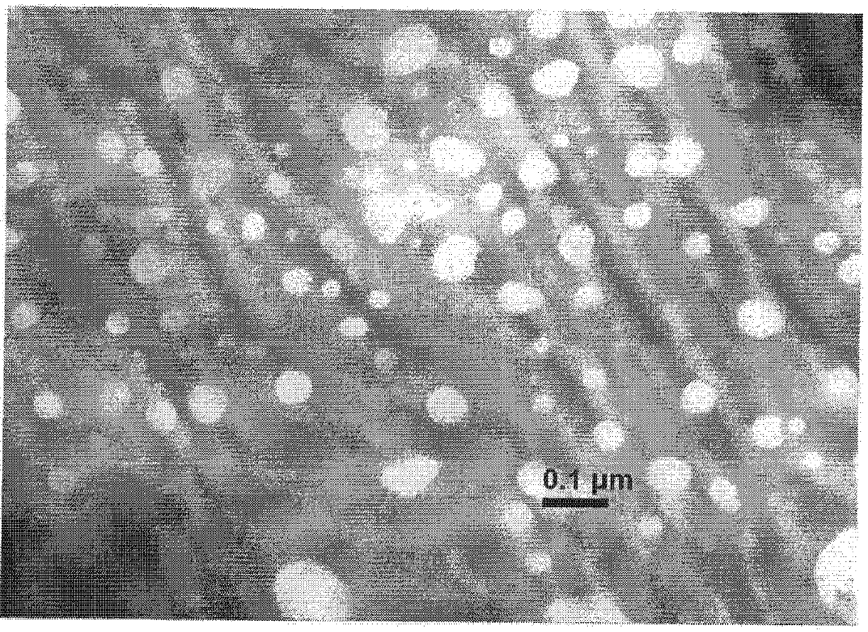 Mushroom polysaccharide chitosan nanoparticle and preparation method thereof