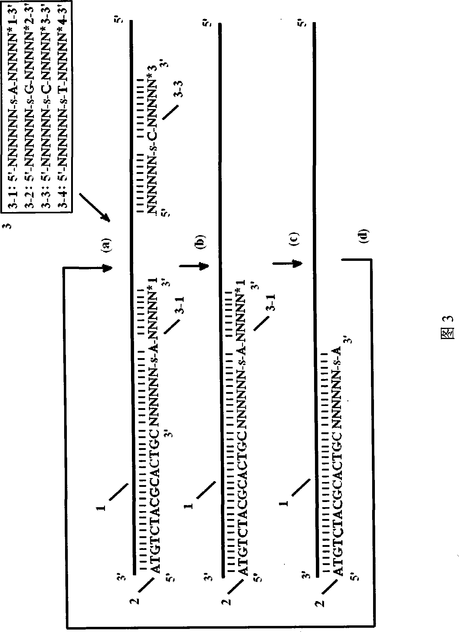 DNA sequencing method by using thiooligonucleotide probe