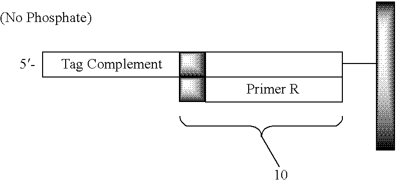 Methods and compositions for assay readouts on multiple analytical platforms
