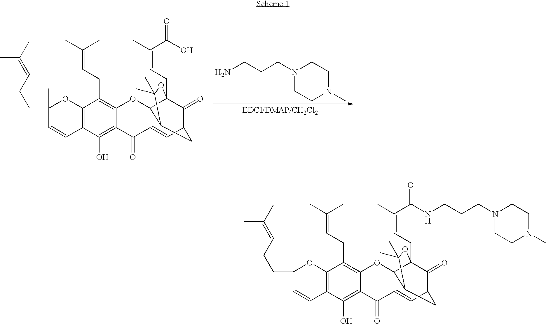 Derivatives of gambogic acid and analogs as activators of caspases and inducers of apoptosis