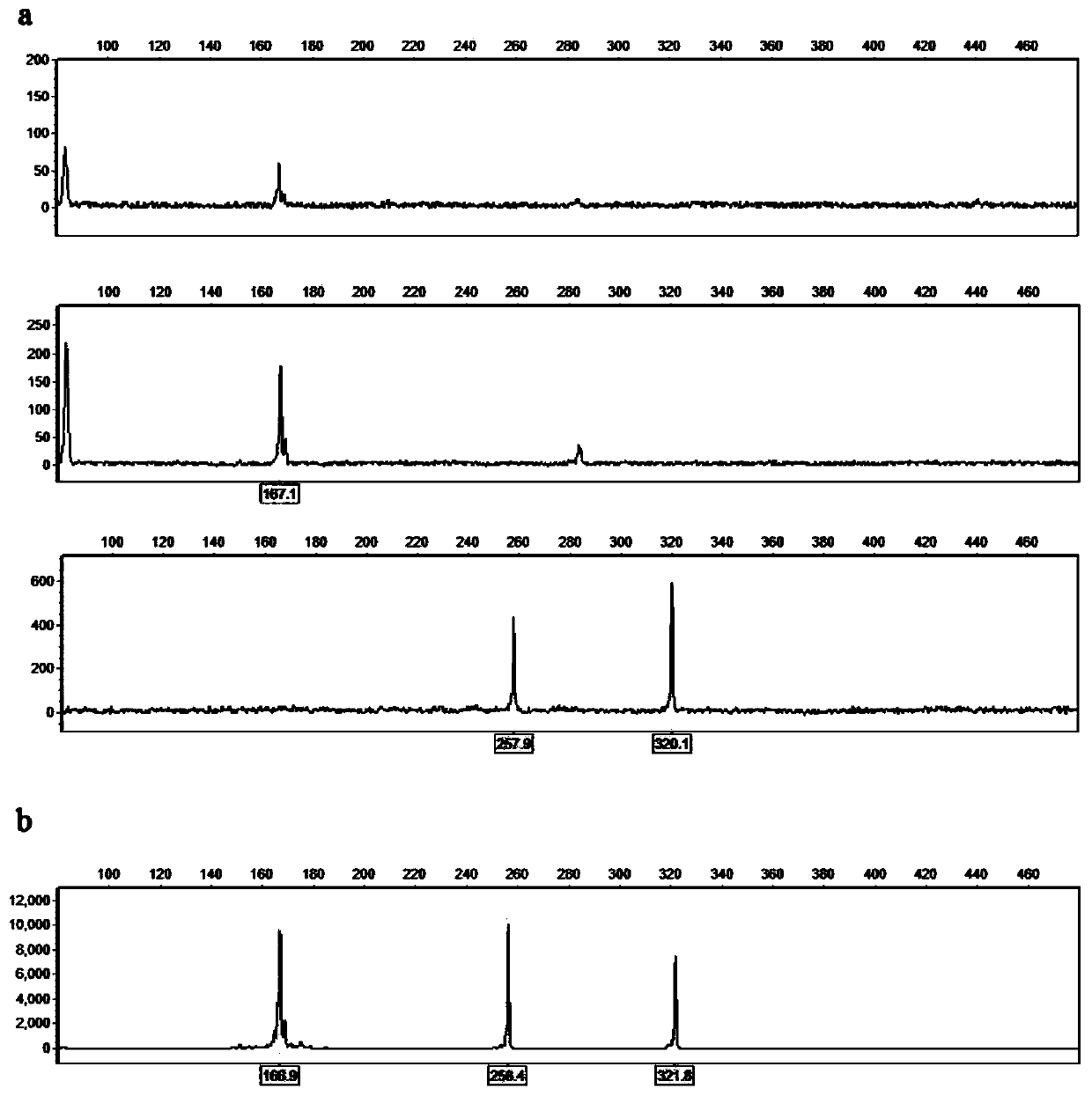 SSR reagent kit capable of rapidly identifying opium poppy