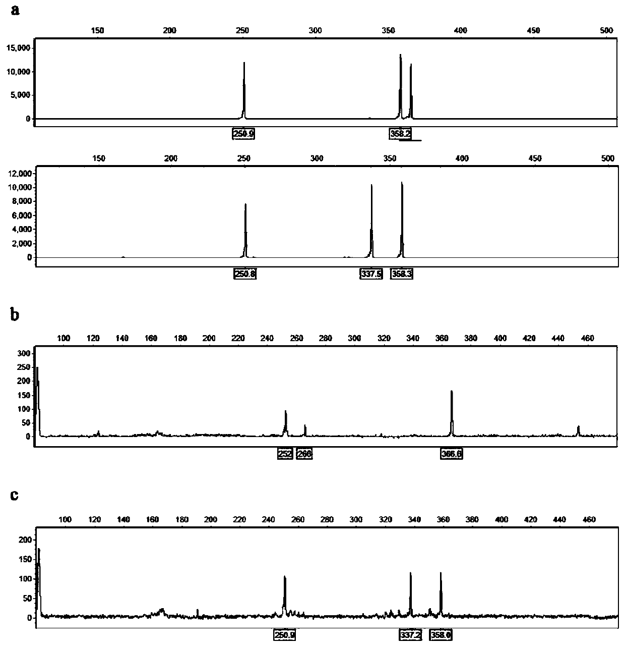 SSR reagent kit capable of rapidly identifying opium poppy